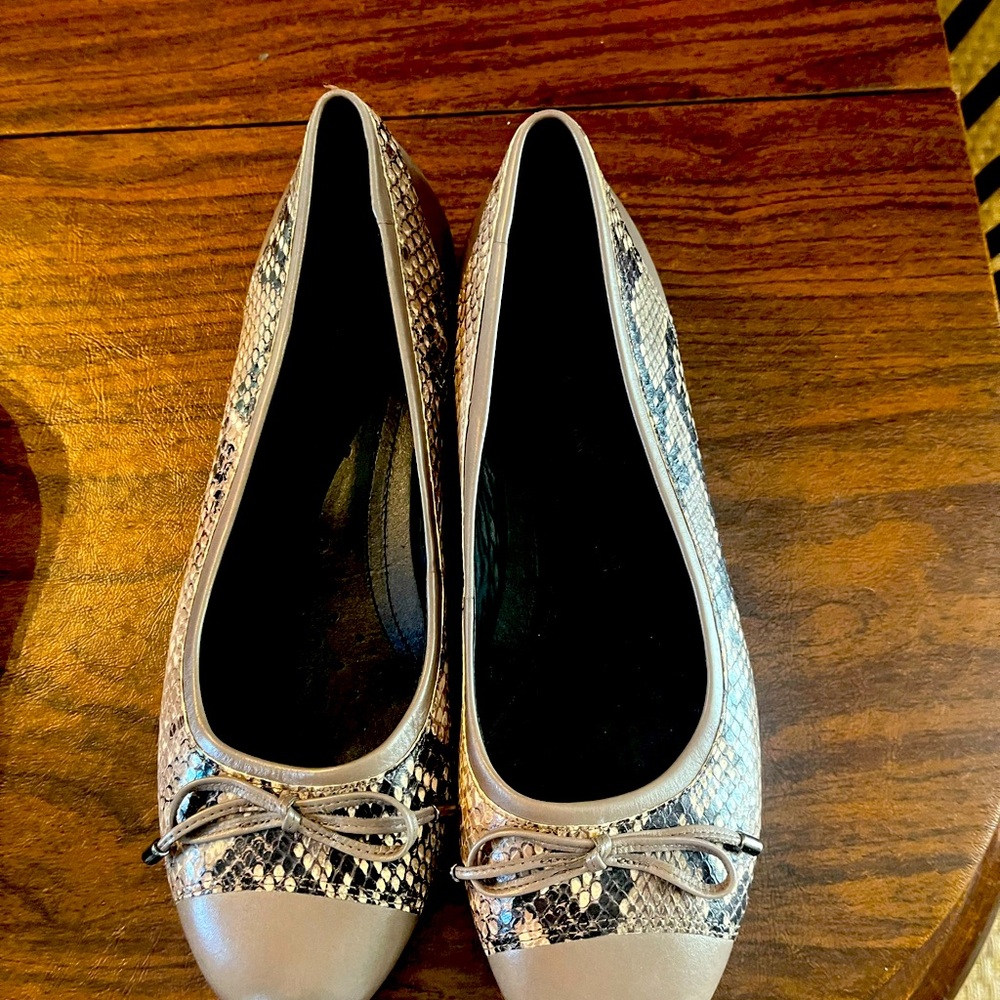 Ecco shoes